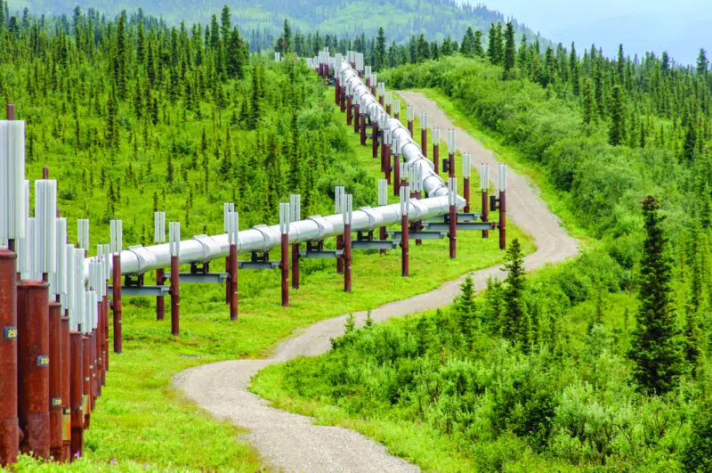 Pipeline Close Up in Green Forest
