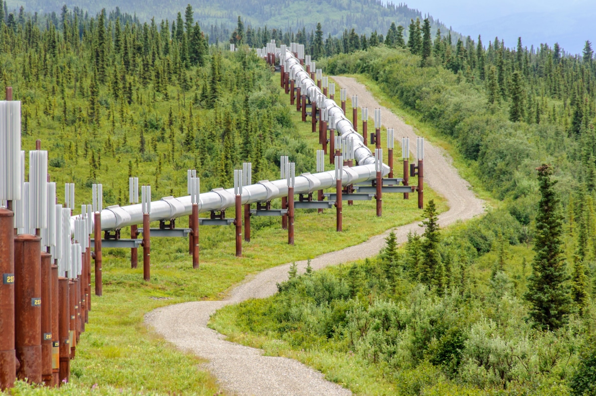 Alaskan Pipeline Condom